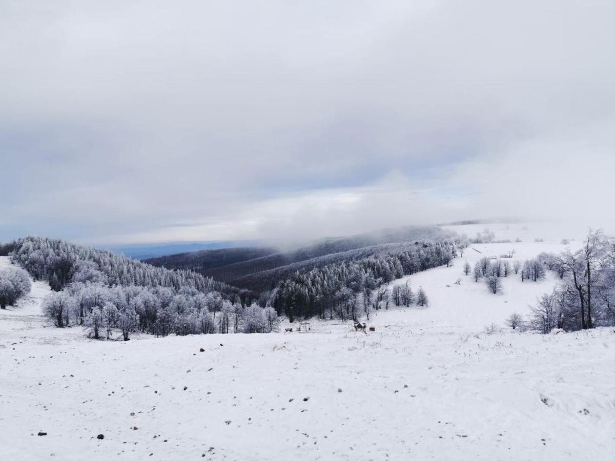 Готель Franzdorf Alpin Веліуг Екстер'єр фото